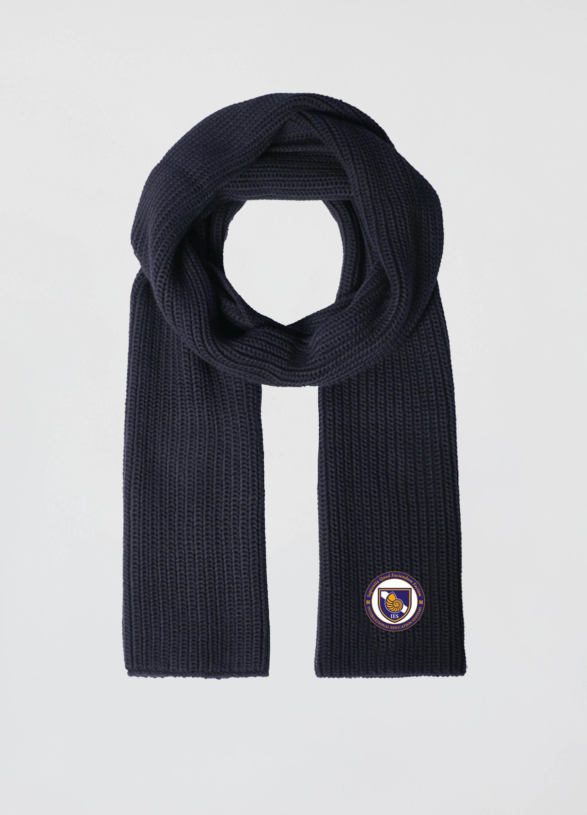 UNISEX - Sciarpa tricot.